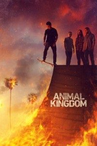 Download Animal Kingdom (Season 1-6) WeB-HD {English With Subtitles} 720p [350MB] || 1080p [1.1GB]