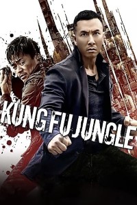 Download Kung Fu Jungle (2014) Dual Audio {Hindi-Chinese} 480p [300MB] || 720p [800MB]