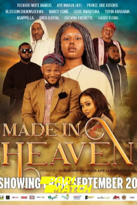 Download Made in Heaven (2019) [HQ Fan Dub] (Hindi-English) || 720p [1.25GB]
