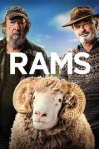 Download Rams (2020) {English With Subtitles} BluRay 480p [490MB] || 720p [1.06GB] || 1080p [2.1GB]