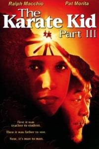 Download The Karate Kid Part III (1989) Dual Audio {Hindi-English} 480p [400MB] || 720p [1GB]