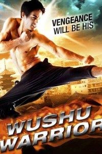 Download Wushu Warrior (2011) Dual Audio (Hindi-English) 480p [300MB] || 720p [1.1GB]